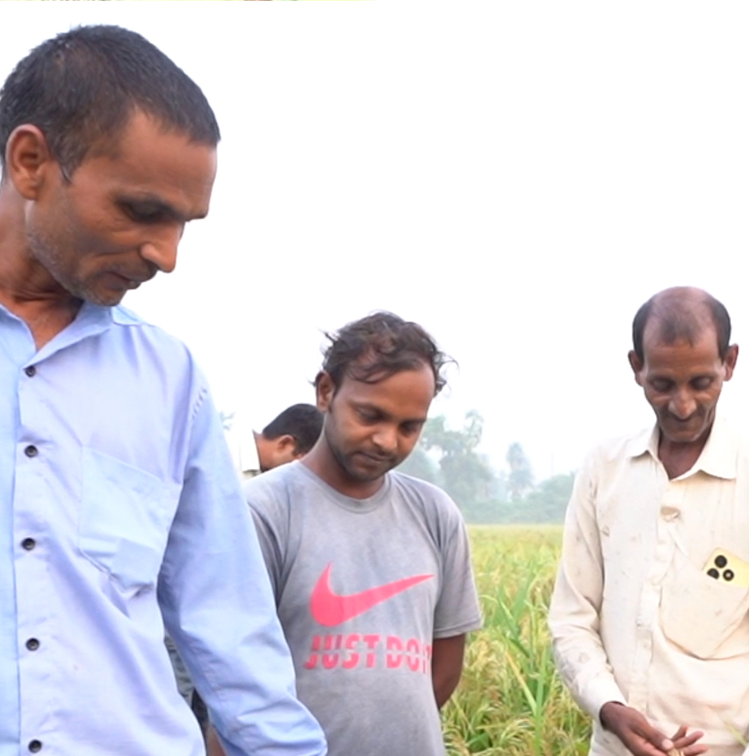 Revolutionize farming with Radico Khaitan: Double yields, healthier soil, and happier farmers through natural methods